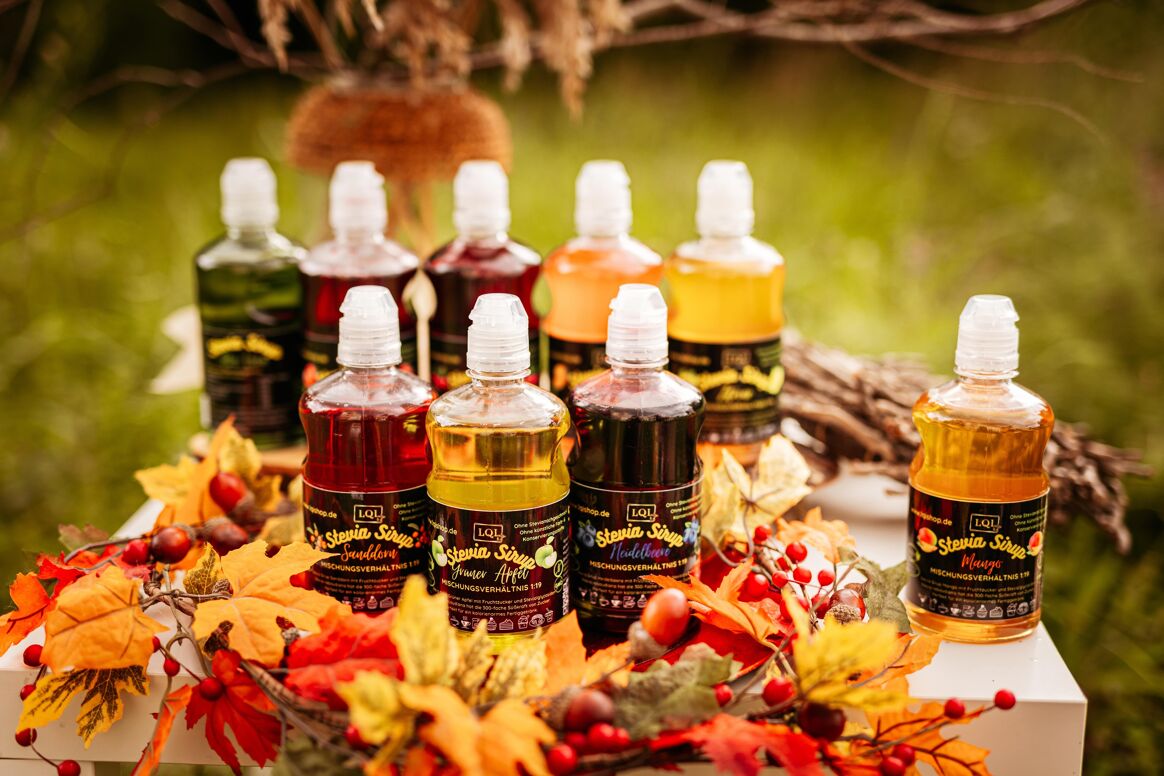 Sirop pentru diabetici cu aromă CĂTINĂ -cu indice glicemic scăzut- 500ml - produs in Germania