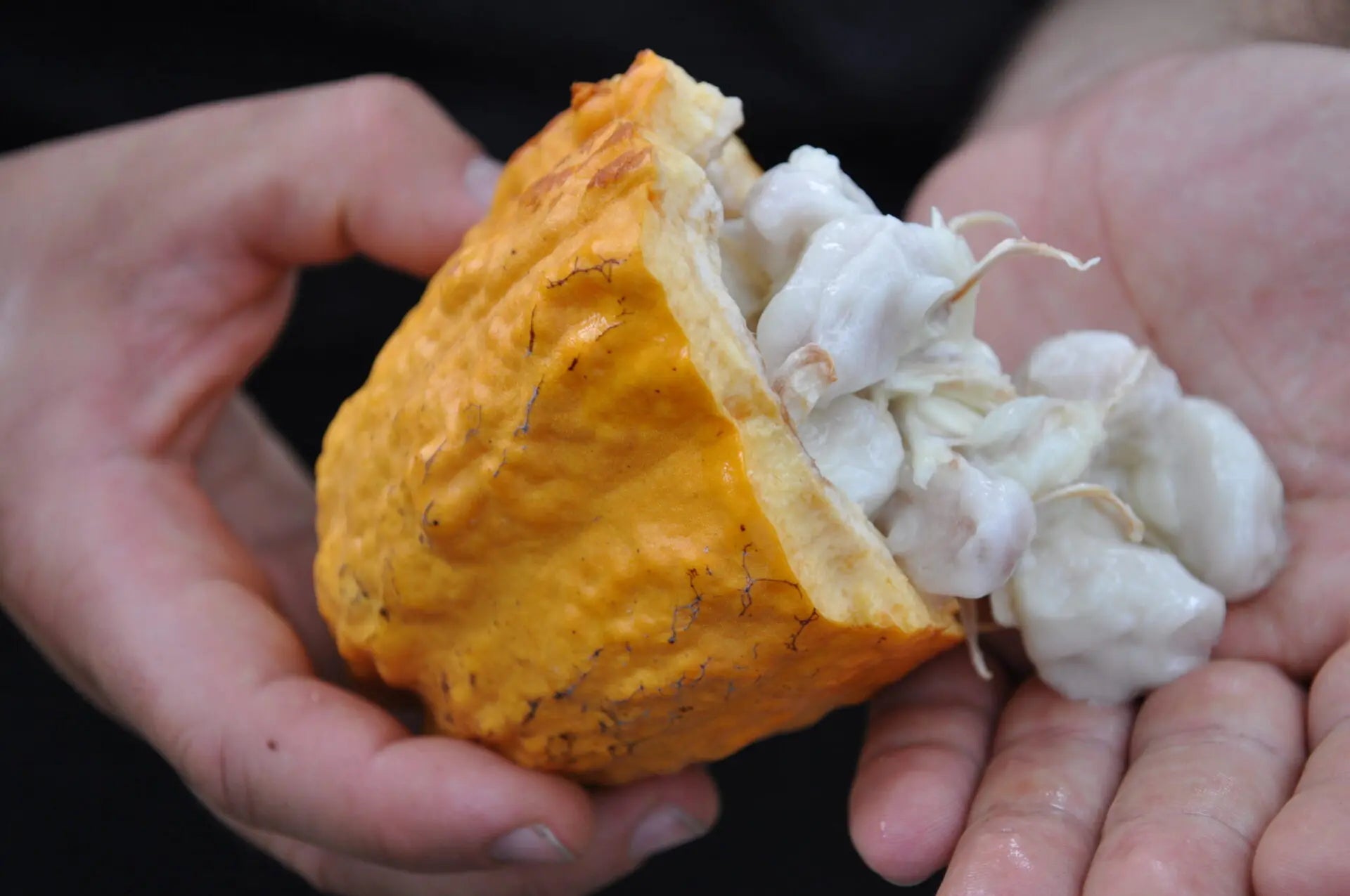 Ciocolata pentru DIABETICI cu îndulcitor din flori de nucă de cocos -70 gr
