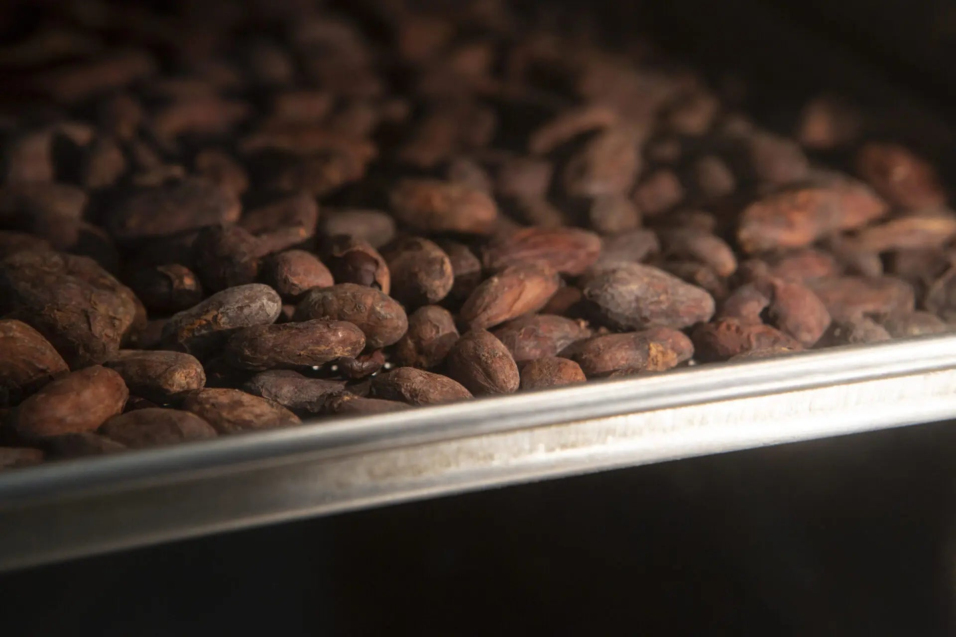 Ciocolata pentru DIABETICI cu îndulcitor din flori de nucă de cocos -70 gr