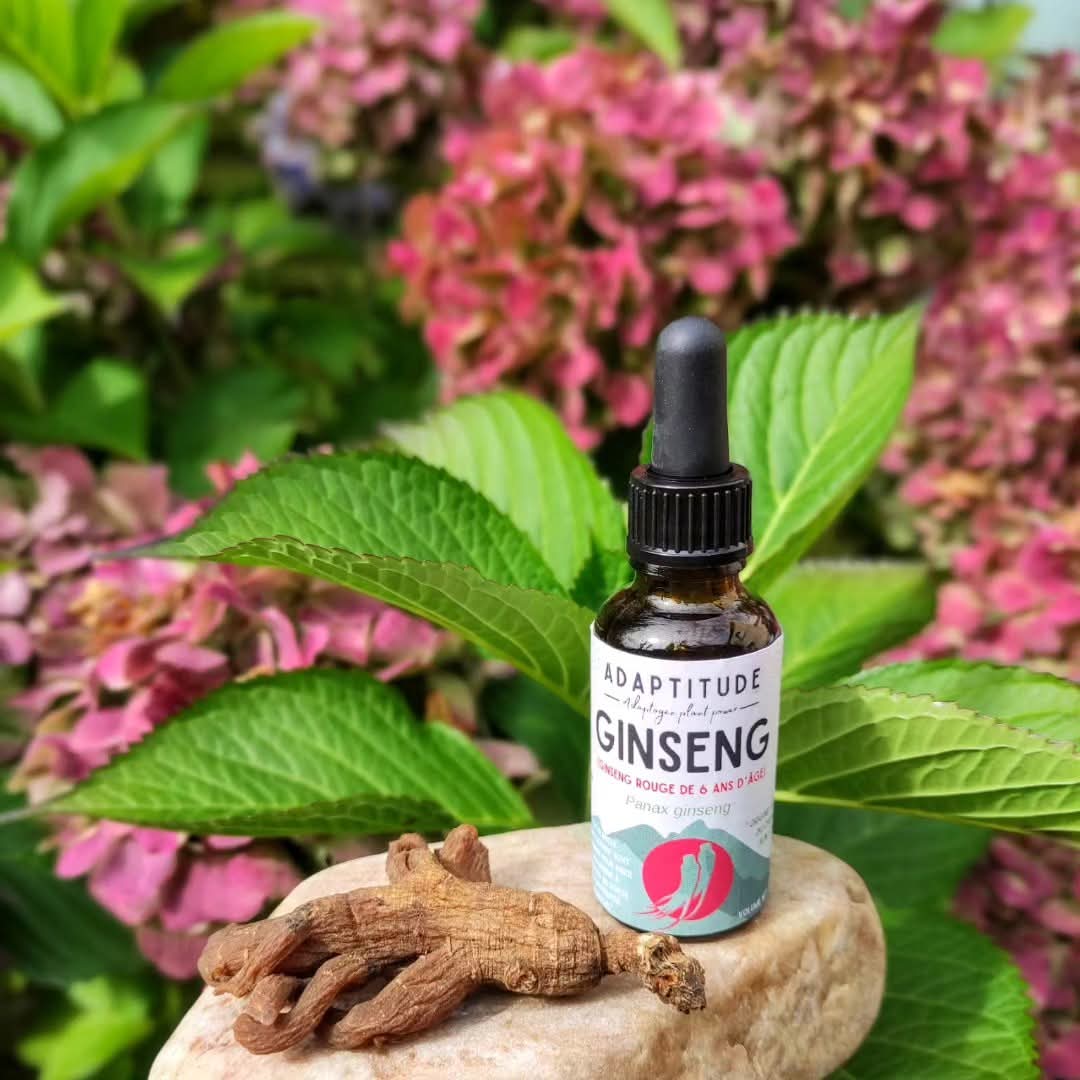 Sprijin pentru funcția sexuală - Extract Ginseng Roșu – Produs Premium 30 ml - produs Franta