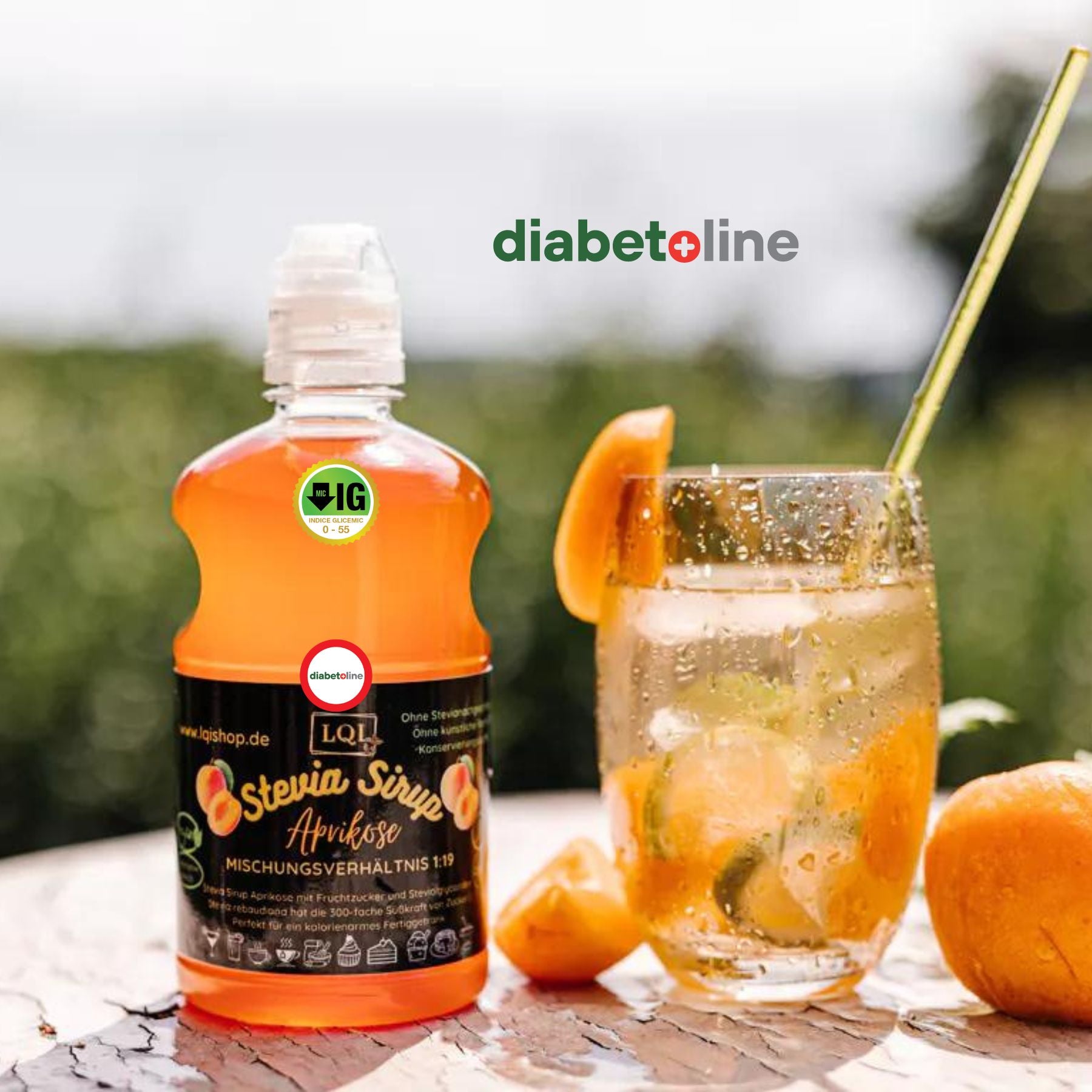 Sirop de Stevia cu CAISE cu indice glicemic scăzut - LQI - 650 ML