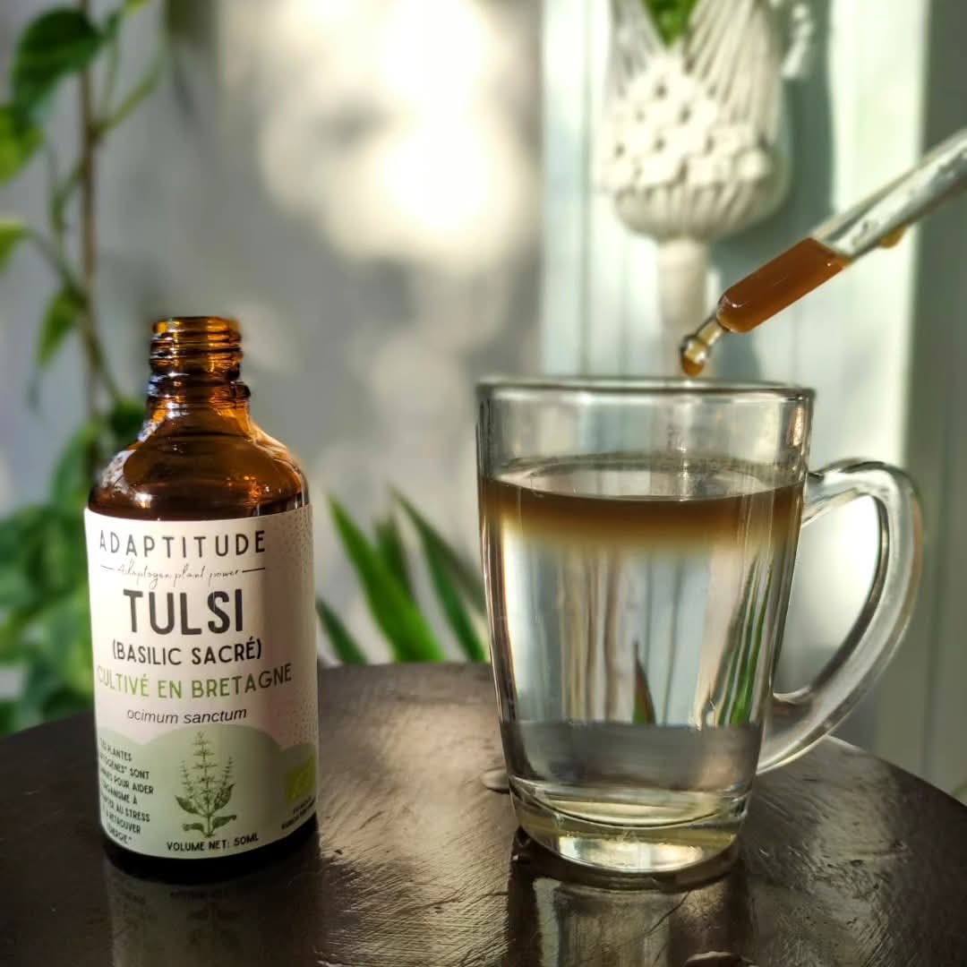 Glicemie minunata - Tinctură Busuioc Sfânt ( Tulsi) - Produs Organic 50 ml