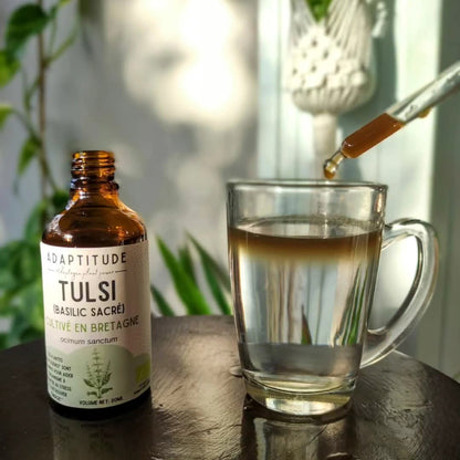 Glicemie minunata - Tinctură Busuioc Sfânt ( Tulsi) - Produs Organic 50 ml