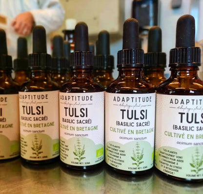 Glicemie minunata - Tinctură Busuioc Sfânt ( Tulsi) - Produs Organic 50 ml