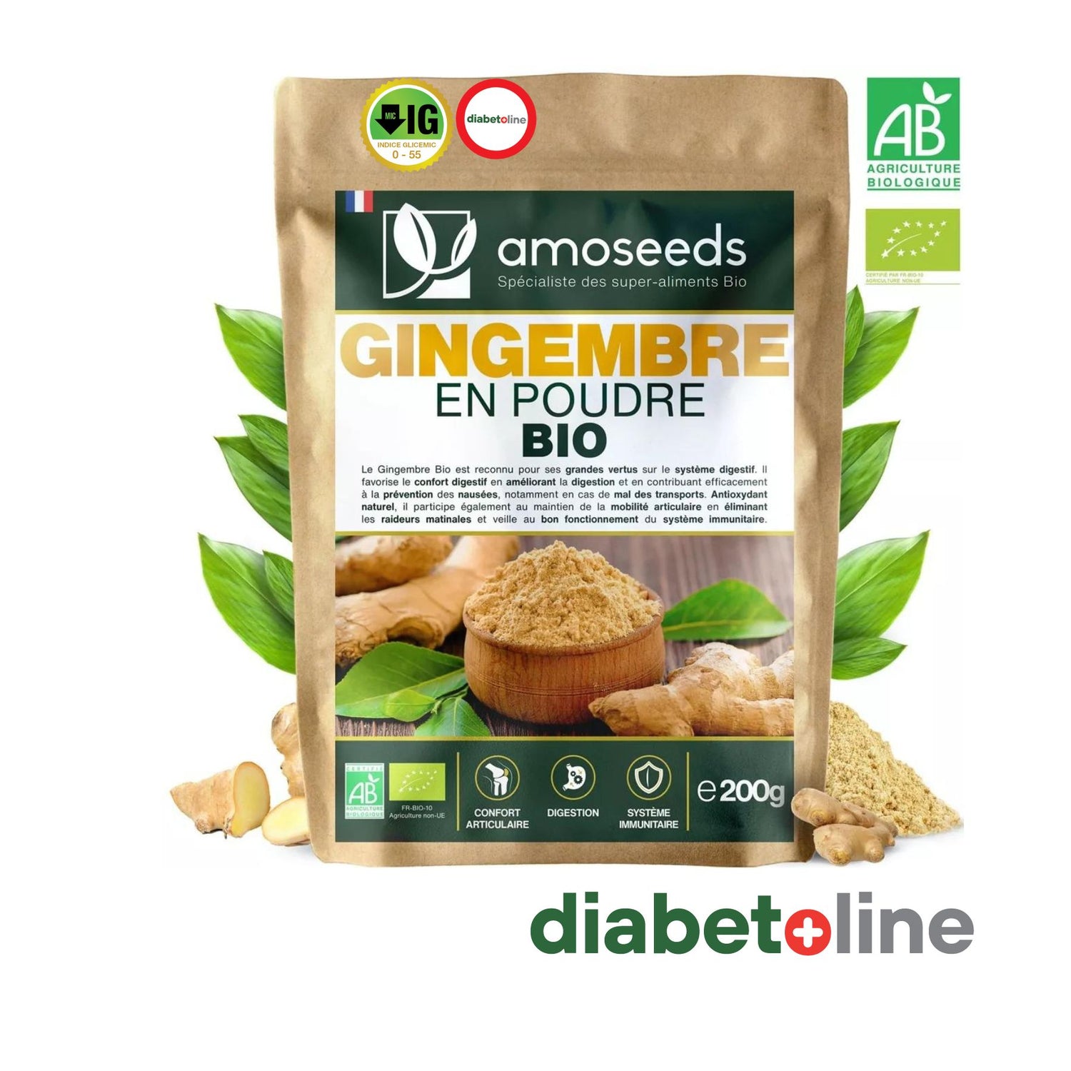 GHIMBIR - PUDRA BIO - AMOSEEDS 200 GR