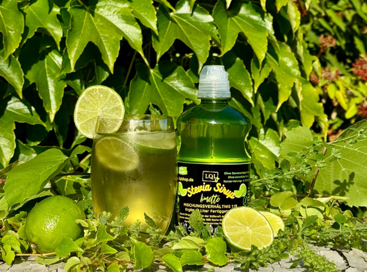 Sirop pentru diabetici cu aromă de LĂMÂIE VERDE - indice glicemic scăzut 25 - 500ml- produs Germania